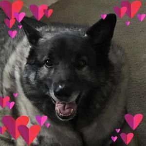 Meet your Posher, Kellie